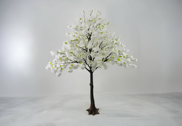 Blossom Tree